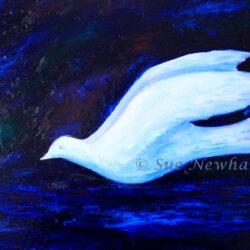 Genesis by Sue Newham